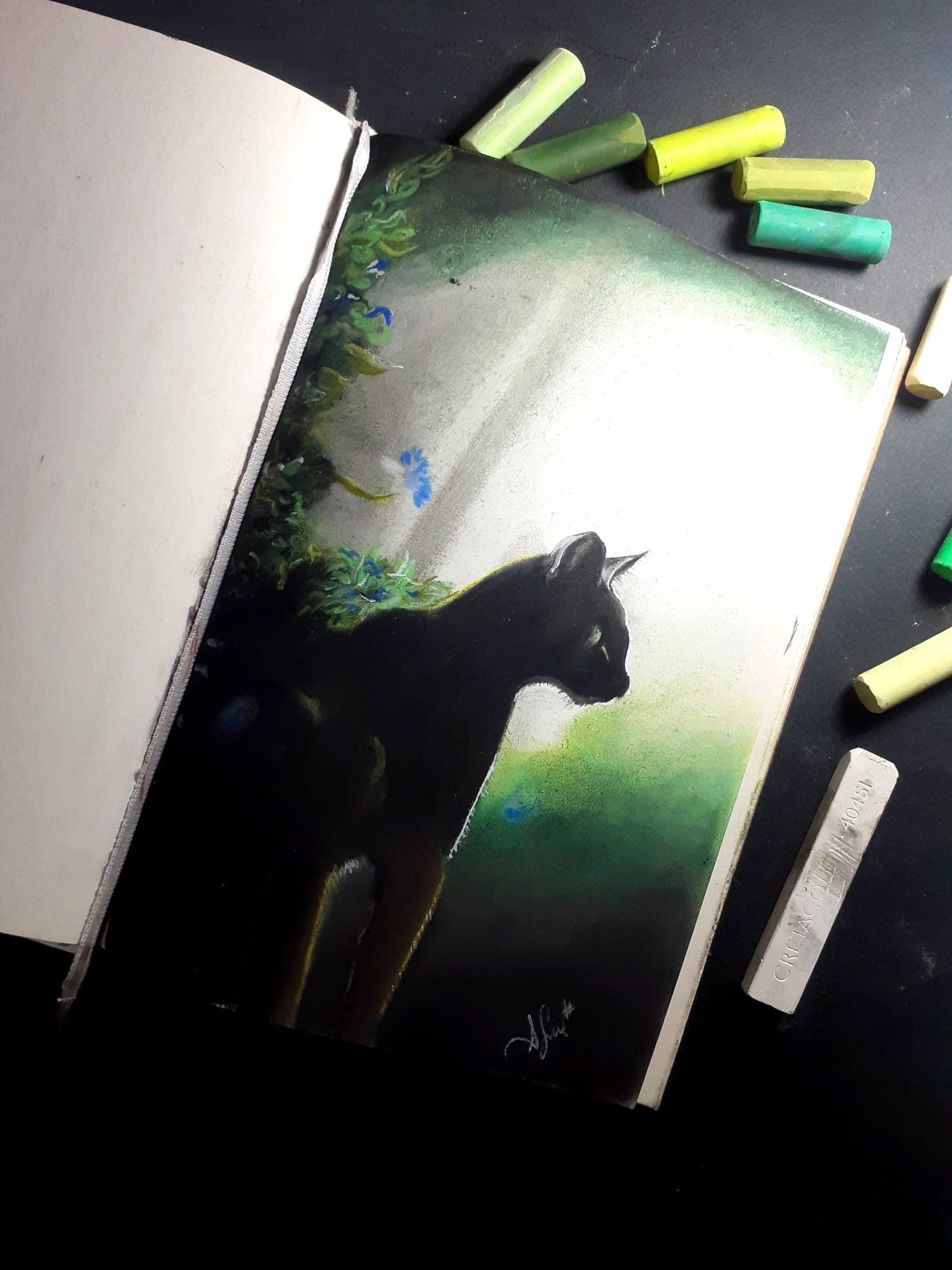 Nesne Çalışmaları