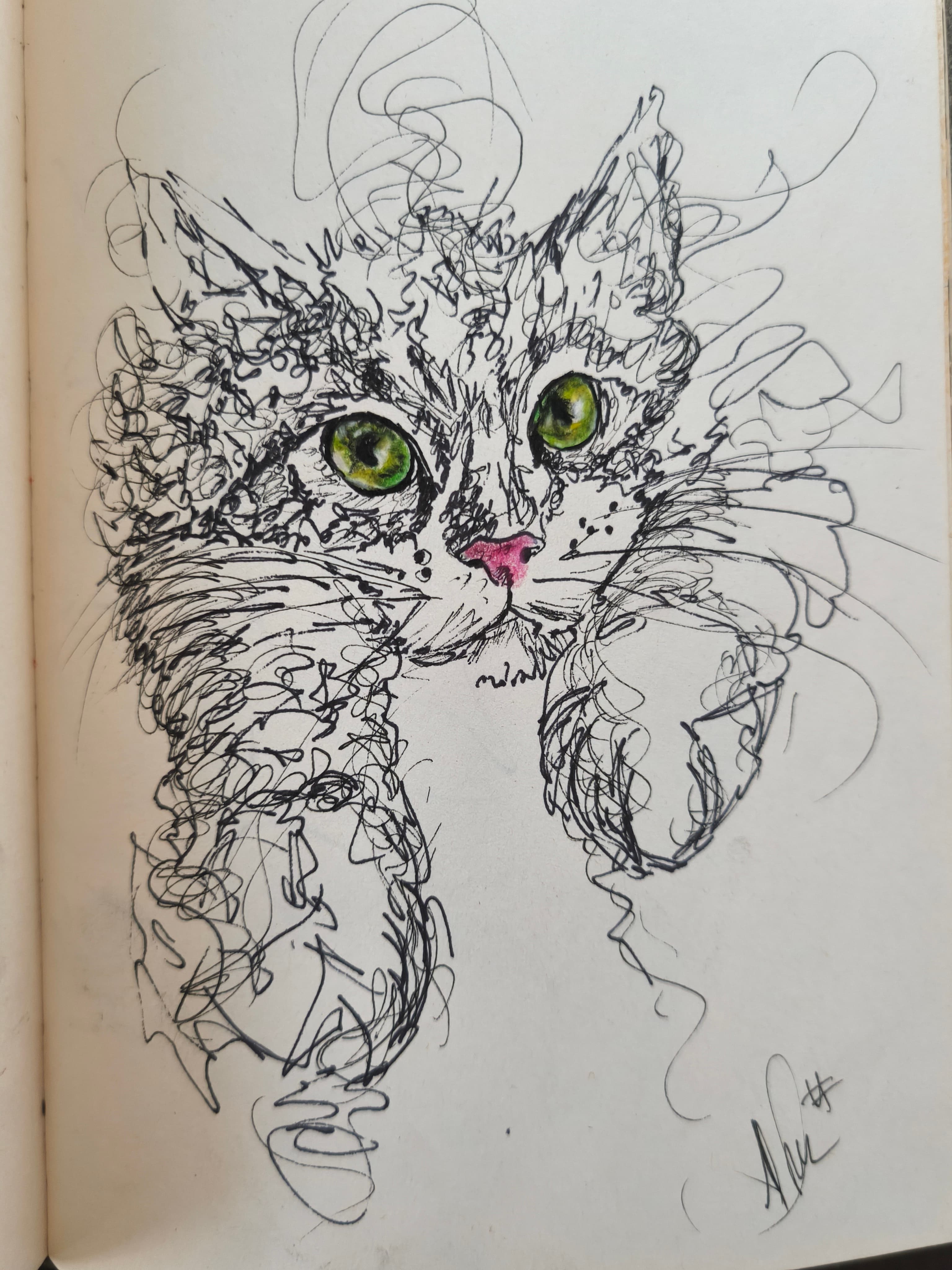 Bitki Çalışmaları